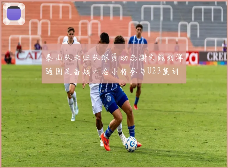 泰山队未归队球员动态谢文能刘洋随国足备战六名小将参与U23集训